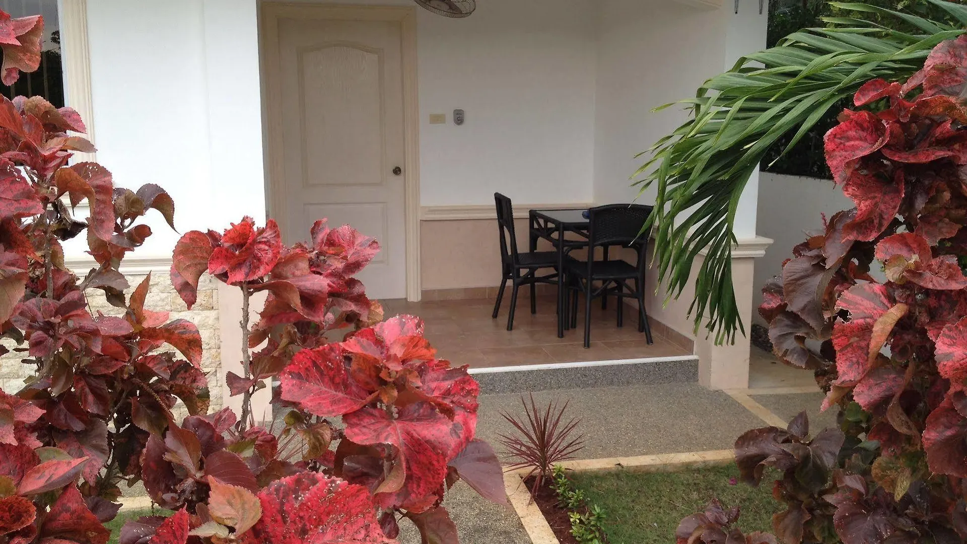 Olivia Resort Serviced Apartments And Bungalows Panglao Philippines